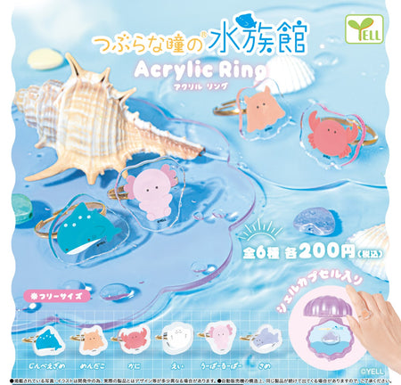 圓圓水族館戒指