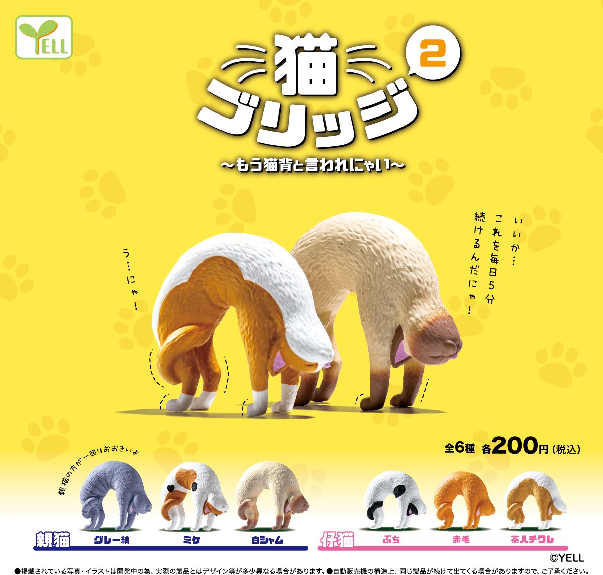 拱橋貓貓2-thumbmail-1