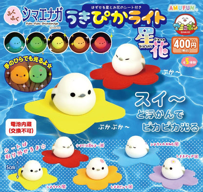 發光星星花花長尾山雀