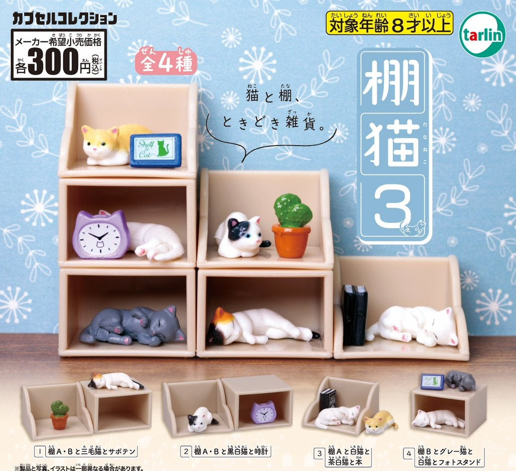 棚架貓3-thumbmail-1