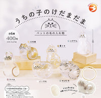 Bright Link 貓咪毛毛瓶