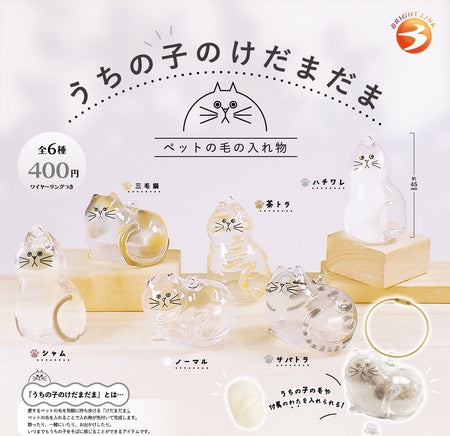 Bright Link 貓咪毛毛瓶