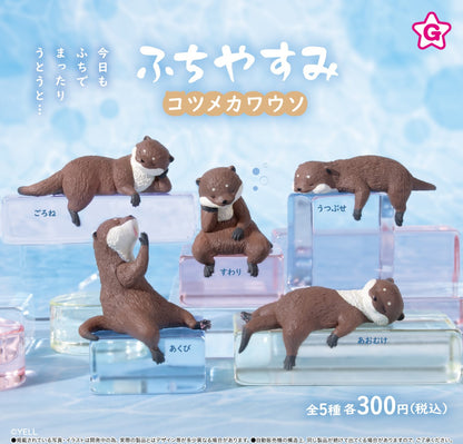 休息水獺