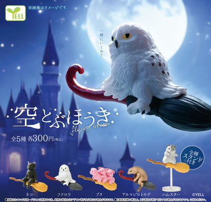 飛天小動物