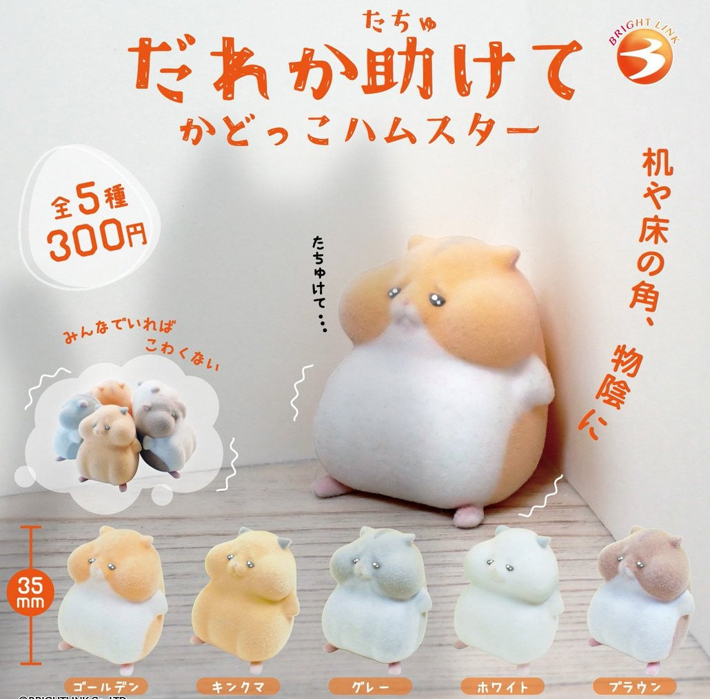 躲在角落倉鼠