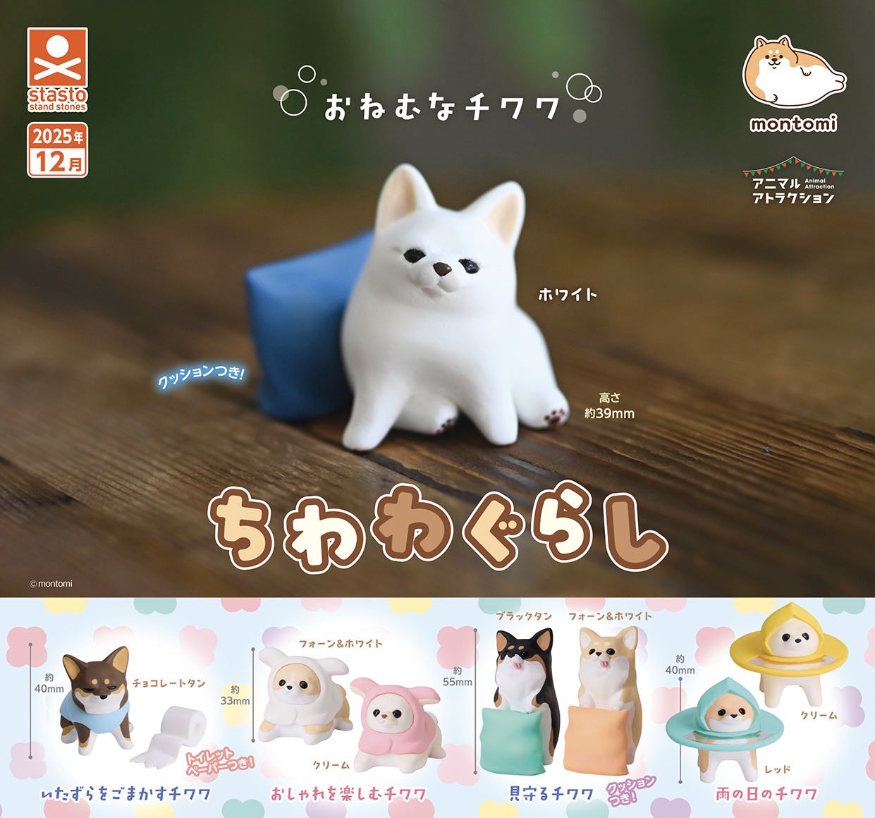 吉娃娃日常-thumbmail-1