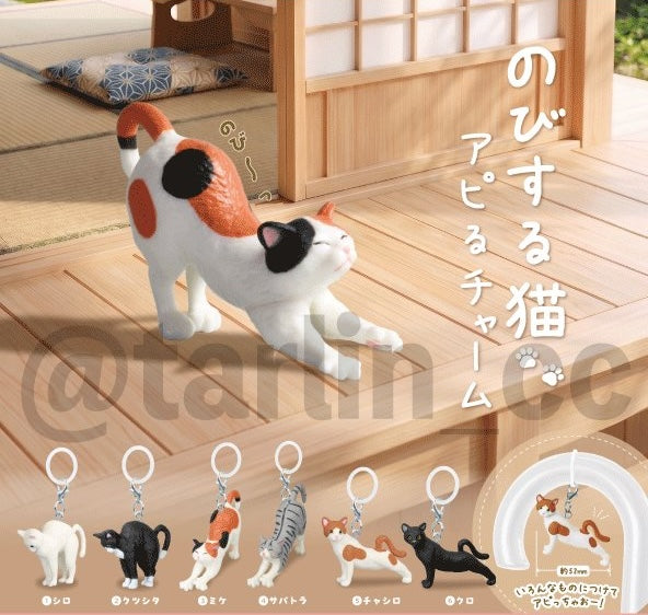 伸懶腰貓咪
