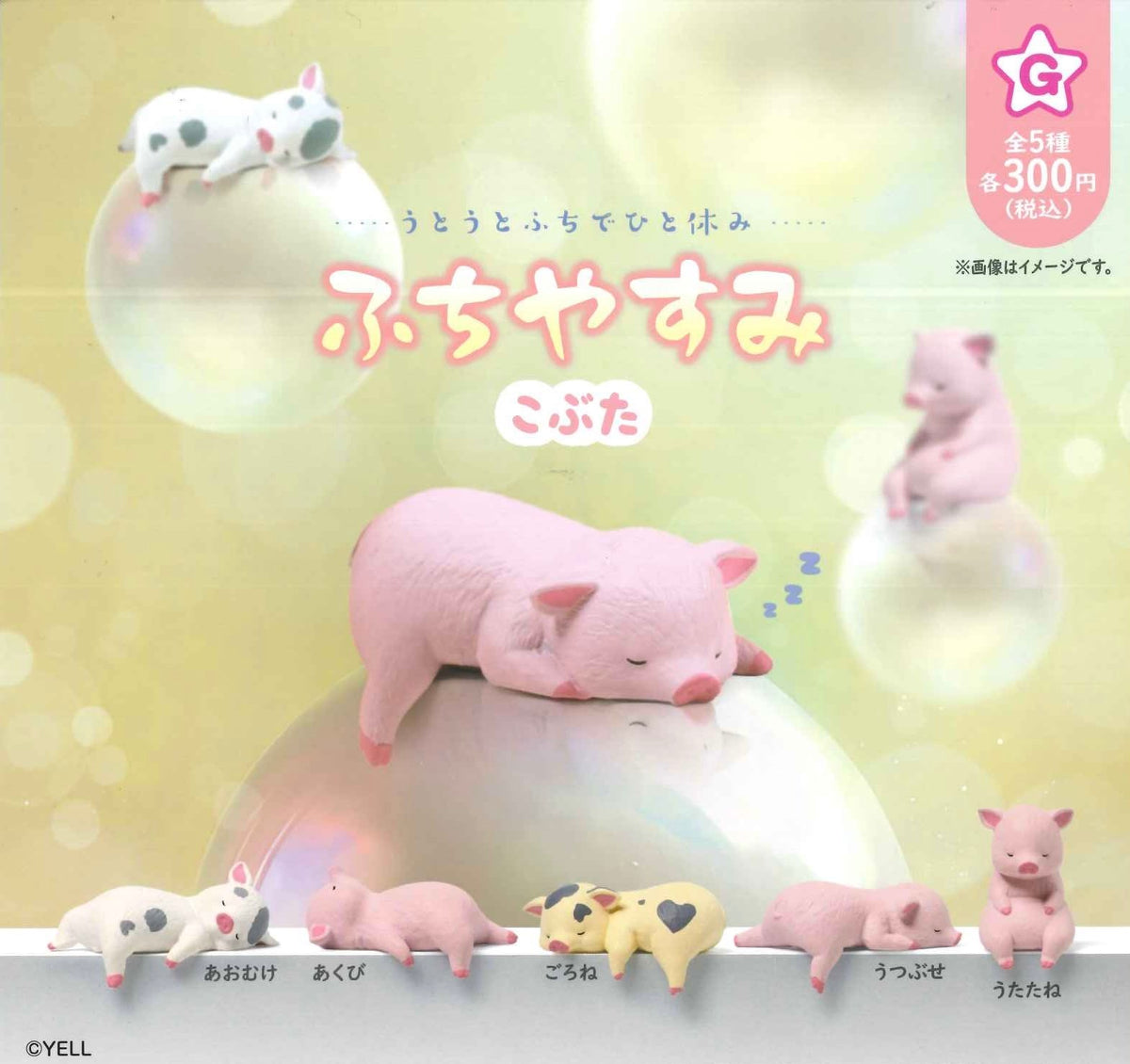 休息小豬