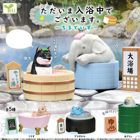 小動物洗澡中（單售）