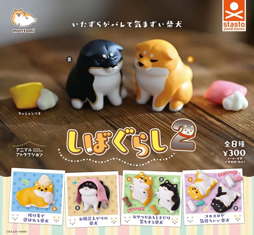 小動物日常．柴犬2