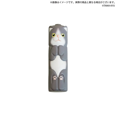 貓貓AA電池（單售）
