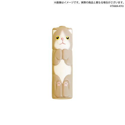 貓貓AA電池（單售）