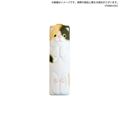 貓貓AA電池（單售）