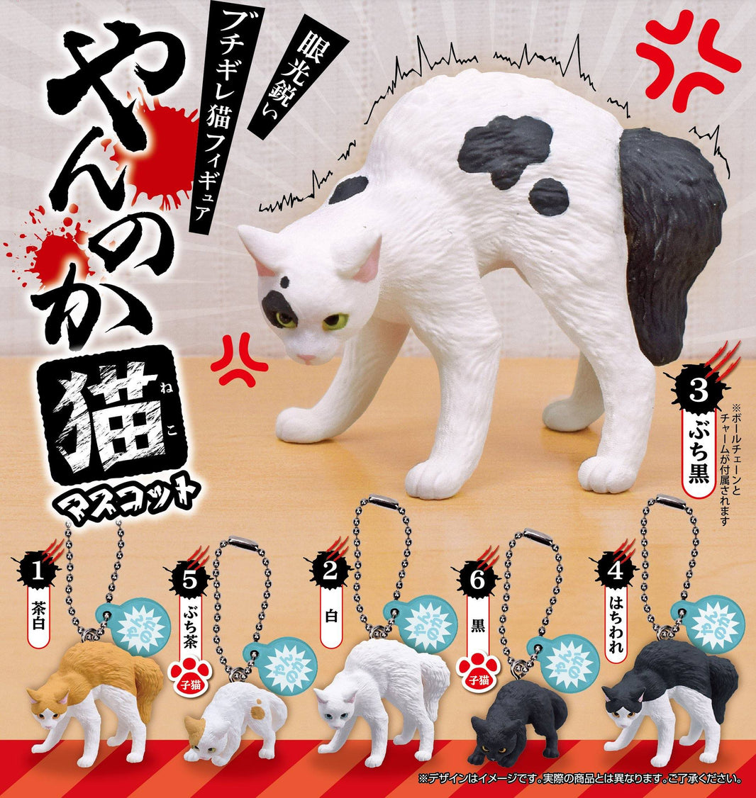 炸毛害怕貓貓