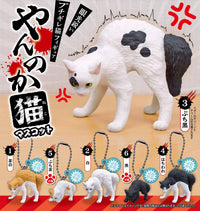 炸毛害怕貓貓