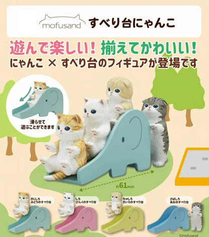 公園滑梯貓貓