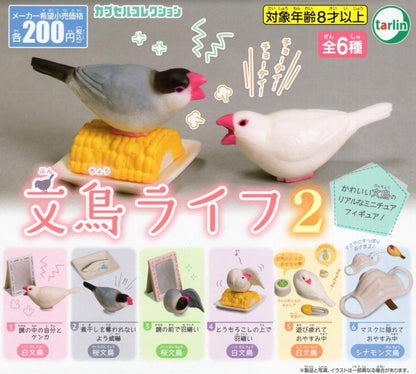 文鳥生活2（單售）