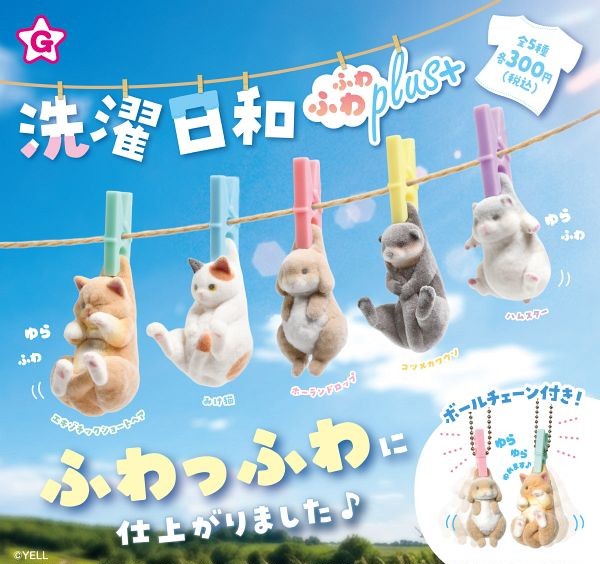 毛毛洗衣日小動物
