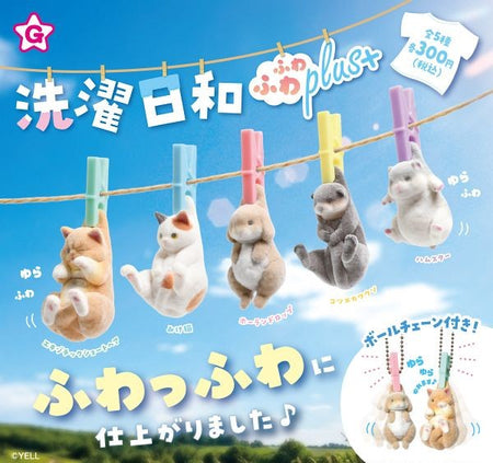 毛毛洗衣日小動物