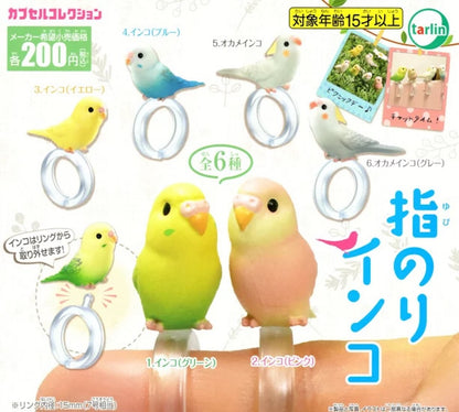 小鳥指環（單售）