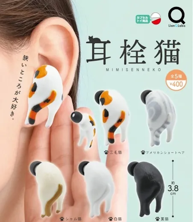 耳塞貓