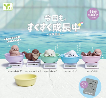 成長中小動物 水族館篇