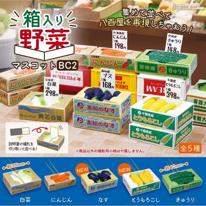 箱中的蔬果2-thumbmail-1