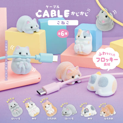 咬咬貓貓電線