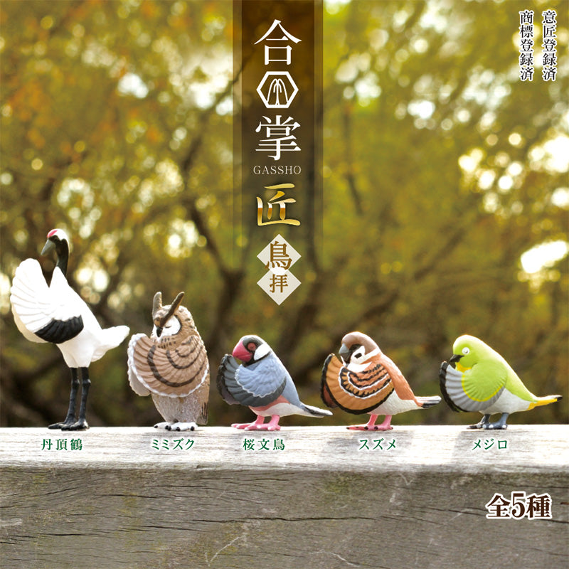 合掌小鳥-thumbmail-2