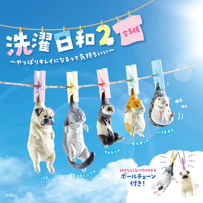 洗衣日小動物2