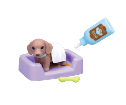 小動物美容 吹洗篇