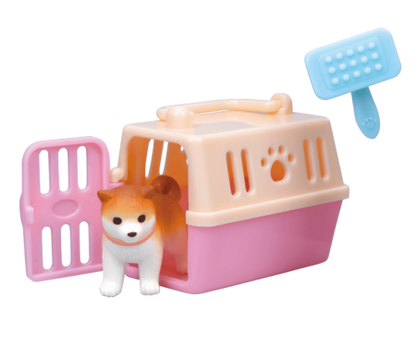 小動物美容 吹洗篇