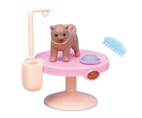 小動物美容 吹洗篇