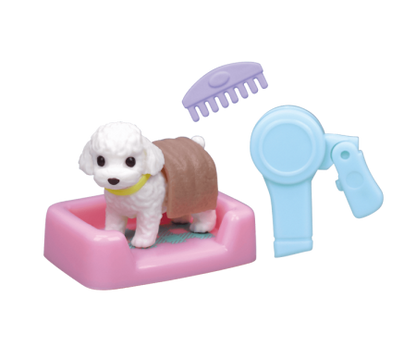 小動物美容 吹洗篇