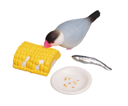 文鳥生活3-thumbmail-4