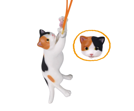 跳起貓
