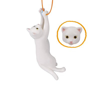 跳起貓