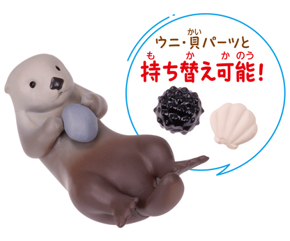 海獺