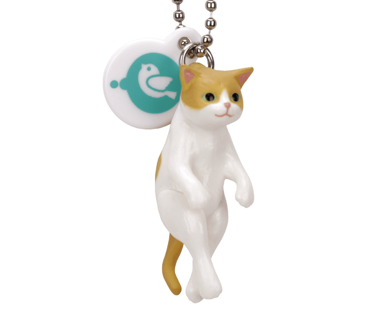 搖搖貓-thumbmail-5