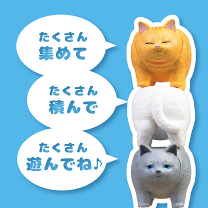 貓咪金字塔