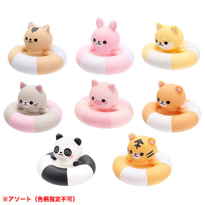 水泡小動物