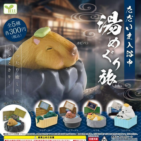 小動物洗澡中 溫泉之旅