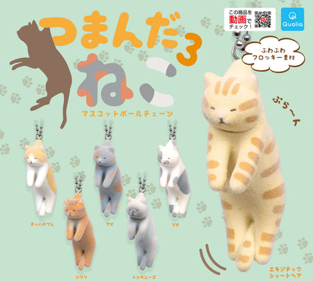 夾起貓貓3