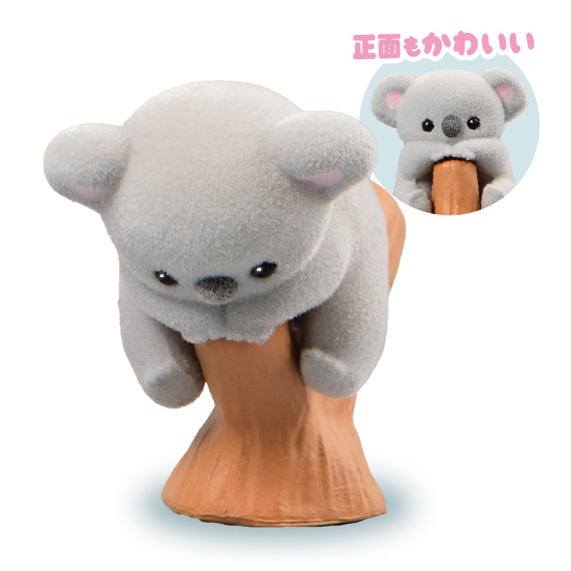 樹熊BB-thumbmail-3