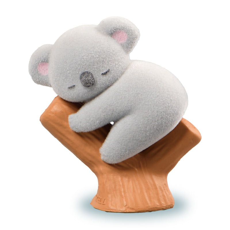 樹熊BB-thumbmail-6