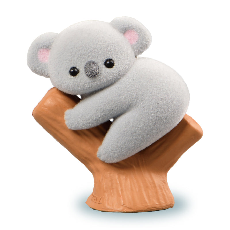 樹熊BB-thumbmail-7