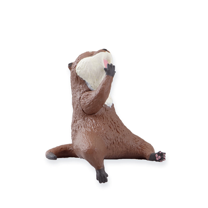休息水獺-thumbmail-4