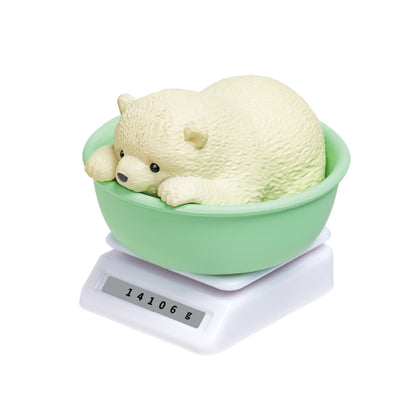 成長中小動物 水族館篇
