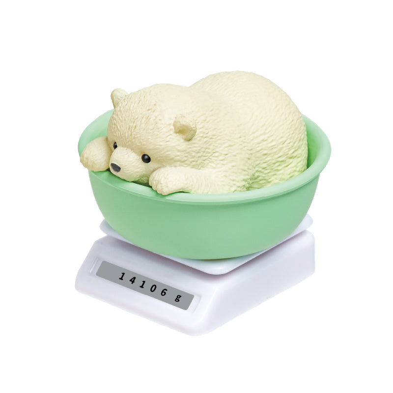 成長中小動物 水族館篇-thumbmail-6