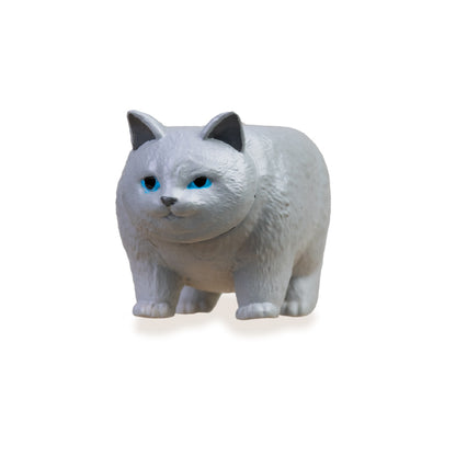 貓咪金字塔
